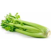   A Celery