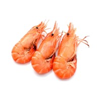  Shrimp